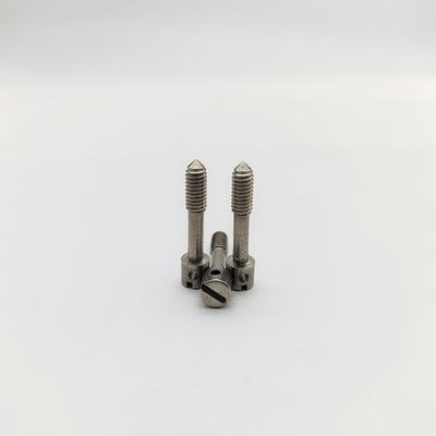 304 স্টেইনলেস স্টীল স্লটযুক্ত লিড সিলিং স্ক্রু M4 M5 M6 বৈদ্যুতিক মিটারের জন্য